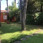 Beautiful Near The *