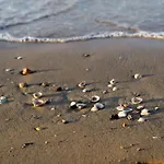 Beautiful Near The Willa *
