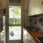 Beautiful Near The ביביונה