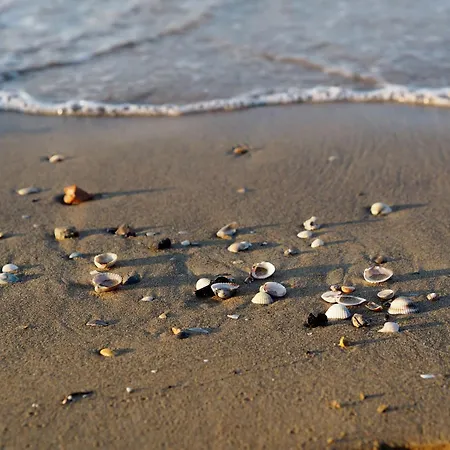 Beautiful Villa Near The Beach Villa *