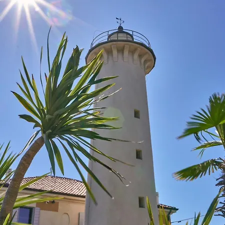 Beautiful Near The فيلة