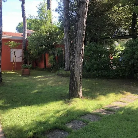 Beautiful Near The * ביביונה