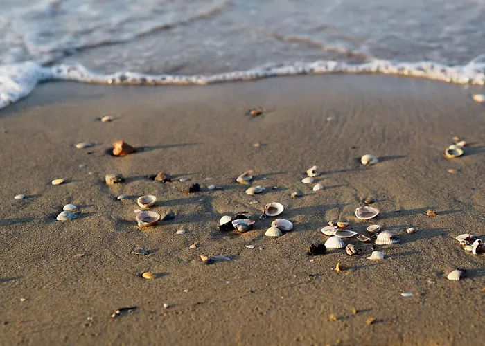 Beautiful Villa Near The Beach Villa *